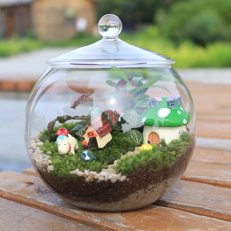 Thủy tinh terrarium centerpiece hộp đựng cây thủy tinh tự làm cho phòng ngủ nuts