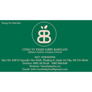 KÍCH THÍCH RA RỄ N3M - LỌ 100 GRAM