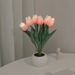 Zuoguan INS 6 Đèn Tâm Trạng Hoa tulip