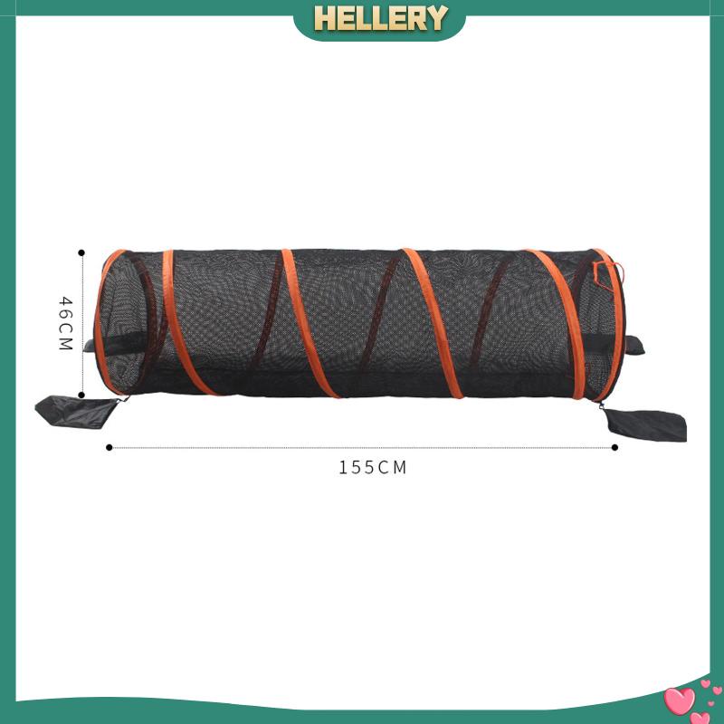 Đường Hầm Gấp Gọn Tiện Dụng Cho Mèo Cưng