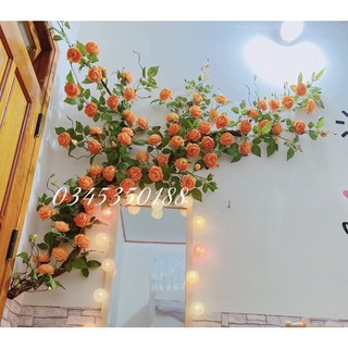 Hoa giả/Hoa lụa - Dây leo Hồng Trà, Hồng cánh xoăn dài 2m loại 1