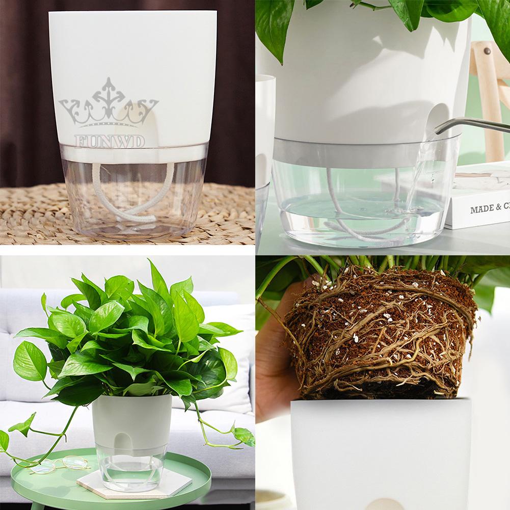 Bình Tưới Cây Tự Tưới Nước Bằng Nhựa Trong Suốt