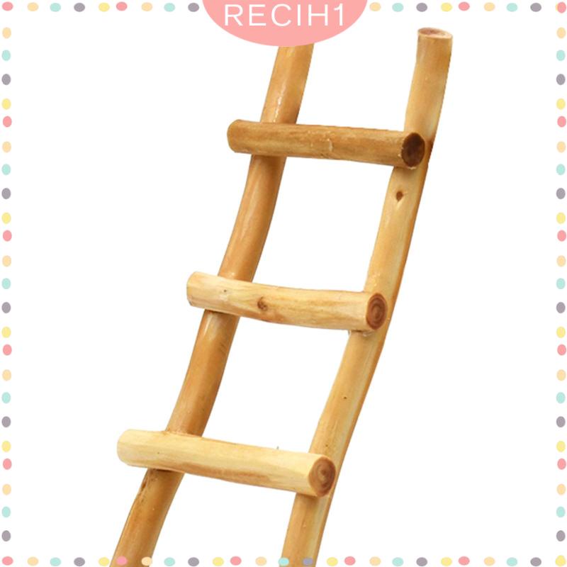 Thang Gỗ Mini Tỉ Lệ 1: 12 Dùng Trang Trí Sân Vườn 1 / 12