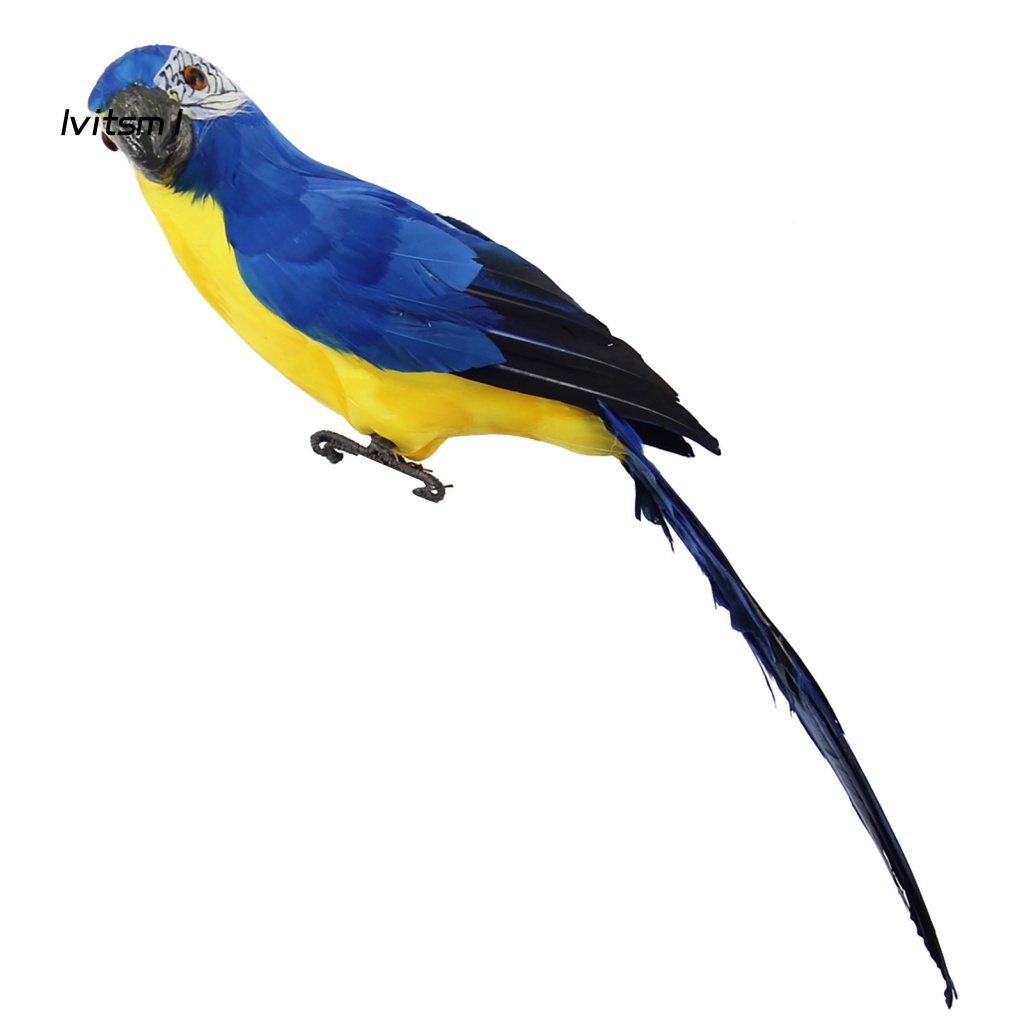 Mô Hình Chim Vẹt Mắt To 3D Bằng Xốp Màu Sắc Sống Động Dùng Trang Trí