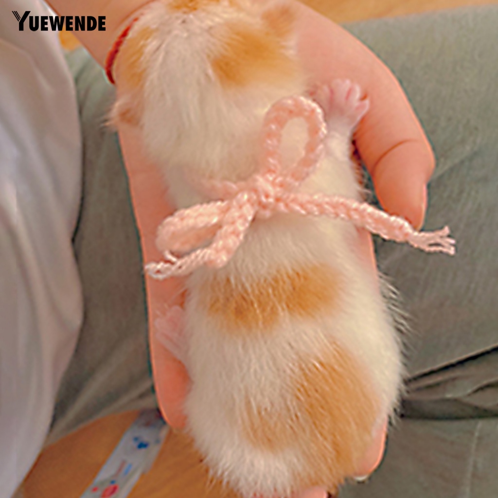 Set 5 Vòng Cổ Chống Mài Mòn Cho Thú Cưng