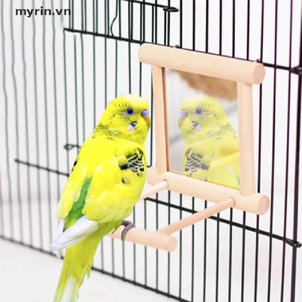Gương Soi Đồ Chơi Cho Chim Cảnh
