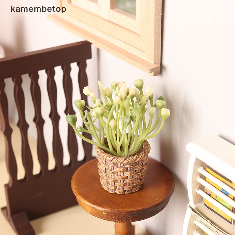 Mô Hình Chậu Cây Xanh Trang Trí Nhà Búp Bê Tỉ Lệ 1: 12