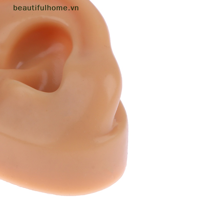 1 Mô Hình Tai Nhân Tạo Bằng Silicon Mềm Dùng Dạy Học