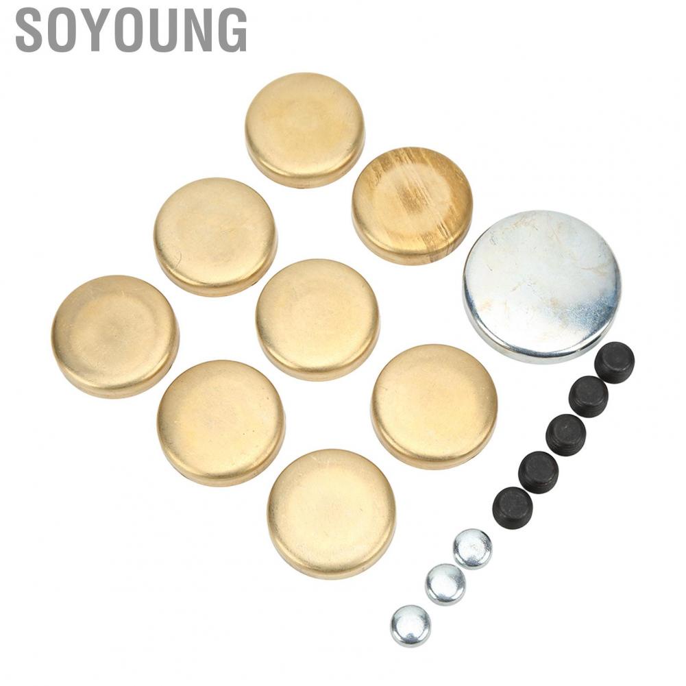 Soyoung Freeze Plug Kit for Dorman 567‑001 Rustproof Stable High Strength Brass Replacement Chevy Small Block 283ci 305ci 327ci