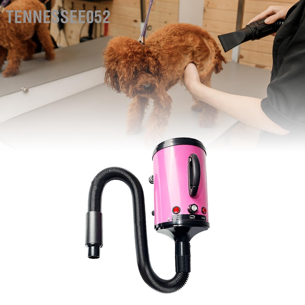 Tennessee052 Máy Sấy Cho Chó Tốc Độ Có Thể Điều Chỉnh Ồn Thấp Chịu Nhiệt Di Động Thổi Chải Lông Thú Cưng Mèo Phích Cắm Châu Âu