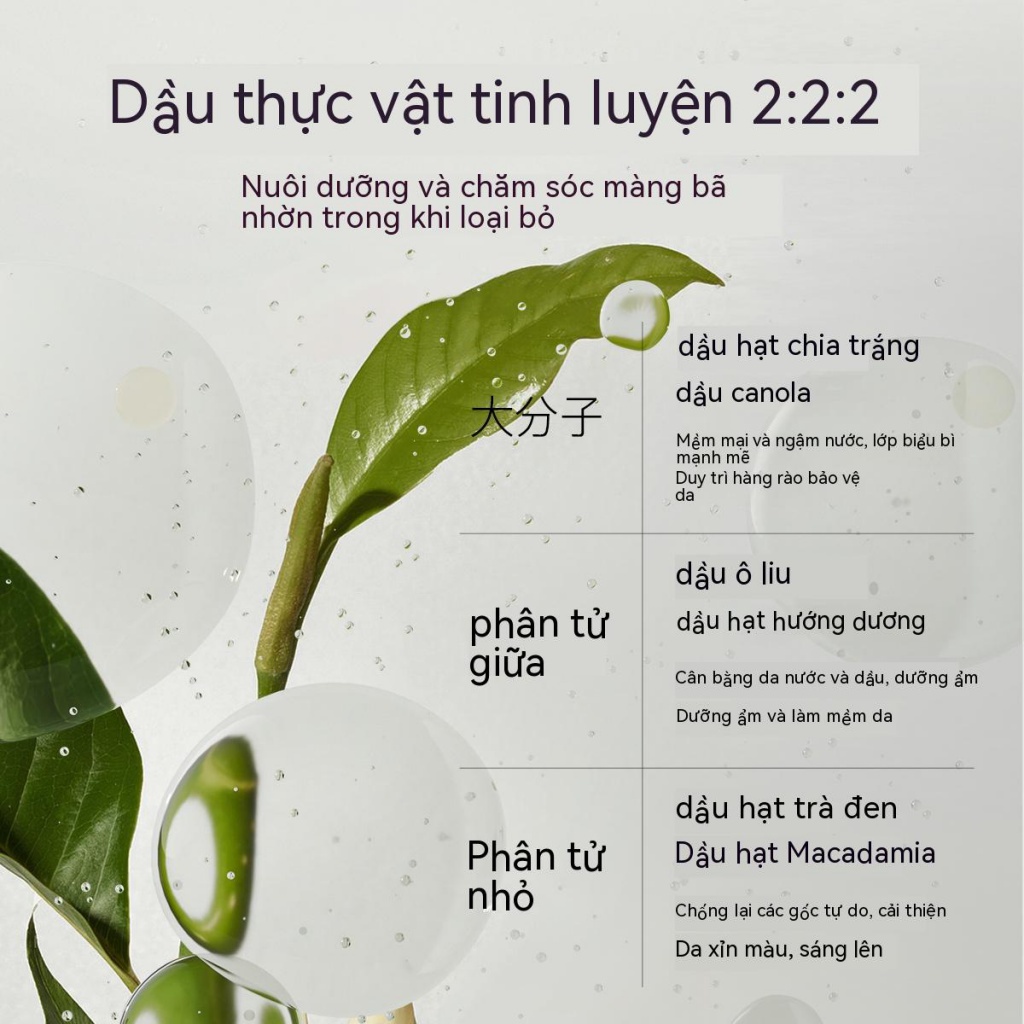 Nước Tẩy Trang OSITREE Chiết Xuất Trà Đen Làm Sạch Sâu Cho Da Nhạy Cảm Không Gây Kích Ứng
