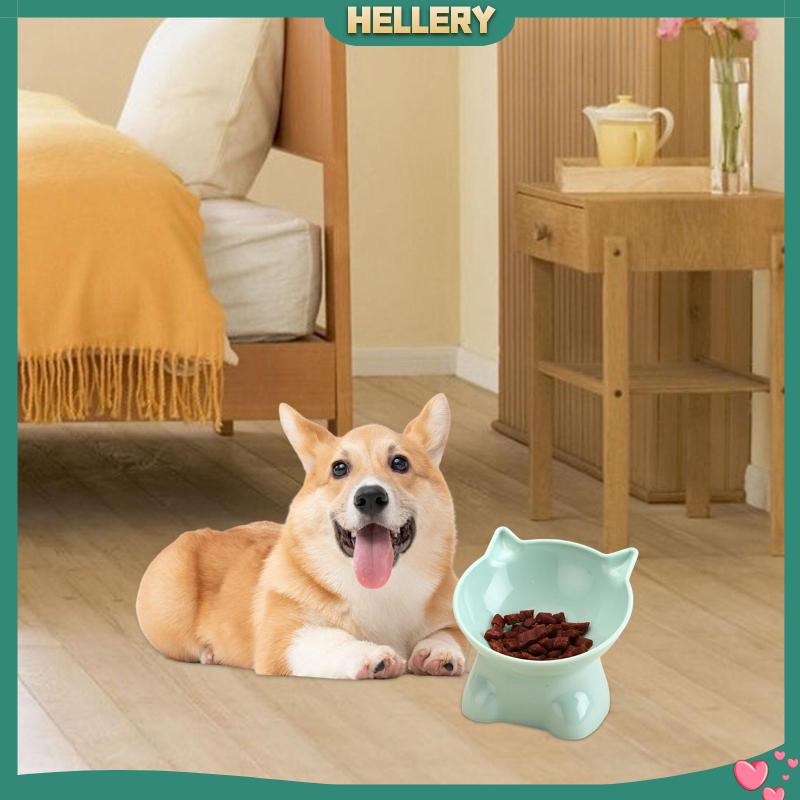 Tô Đựng Thức Ăn Dành Cho Thú Cưng Trong Nhà