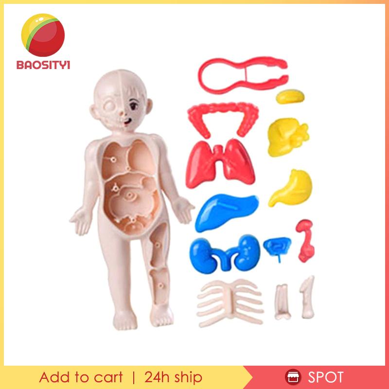 [Baosity 1] Bộ Đồ Chơi Dạy Học Cơ Thể Người Cho Trẻ Mẫu Giáo