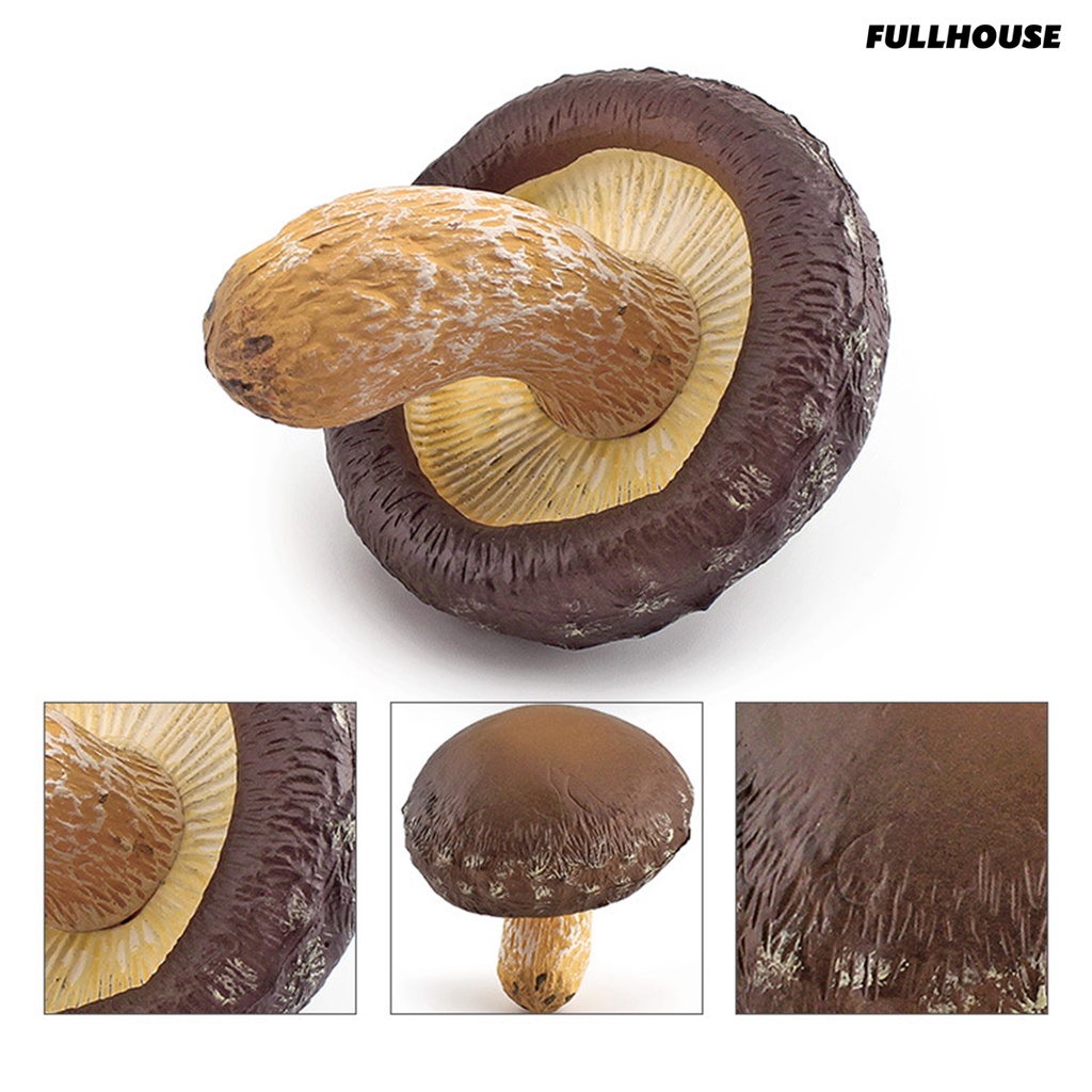 ❂Mô Hình Cây Nấm Mini Không Phai Màu Dùng Trang Trí Tiểu Cảnh