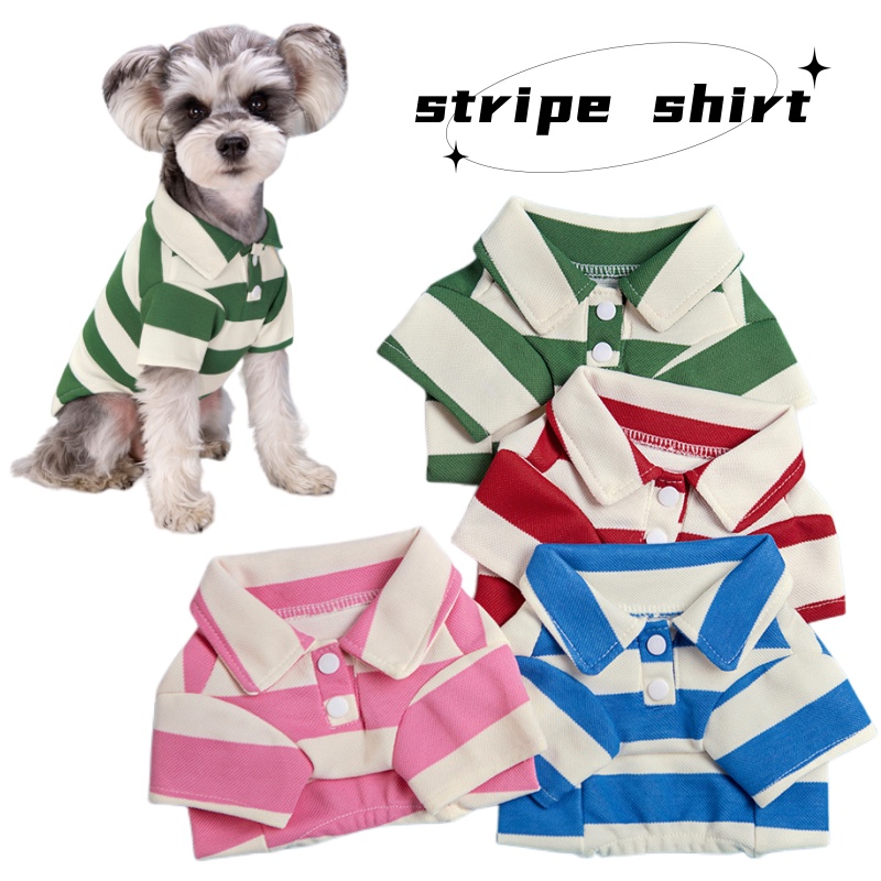 Quần Áo Mỏng Chiến Đấu Hai Chân Gấu Bông Pomeranian Chiến Đấu