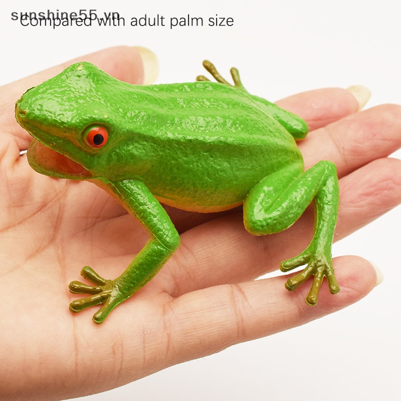 Đồ Chơi Mô Hình Con Ếch Dùng Chơi Khăm