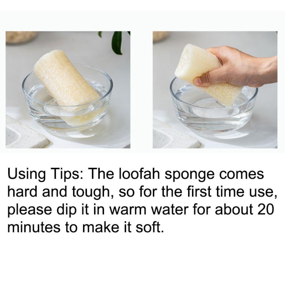 Miếng Bọt Biển Để Chà Rửa Massage Khi Tắm Tiện Dụng Và Bền