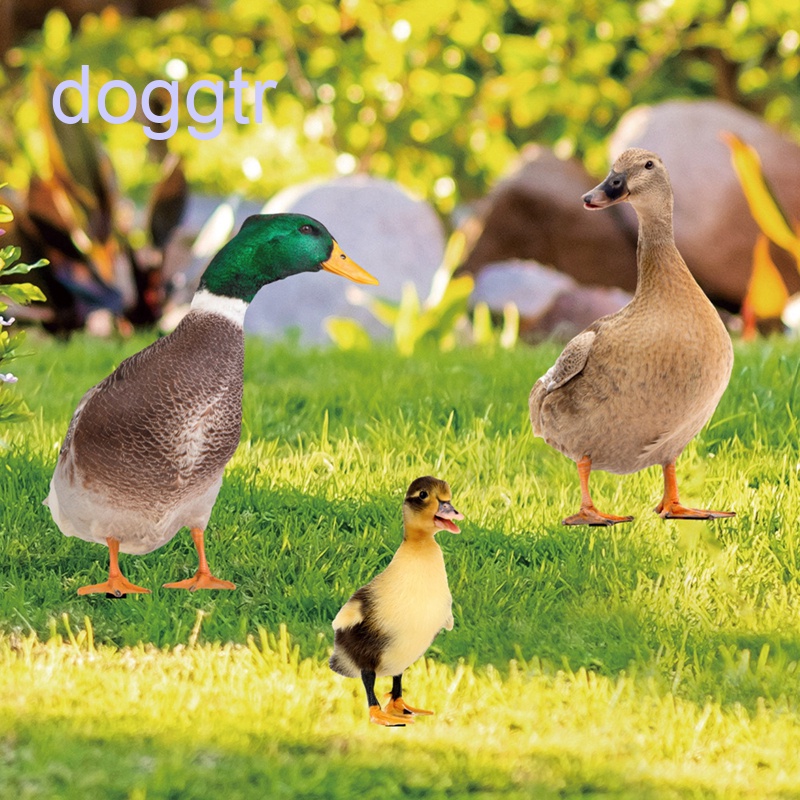 Bộ 3 Tượng Vịt Hai Mặt Bằng Acrylic Dùng Trang Trí Sân Vườn