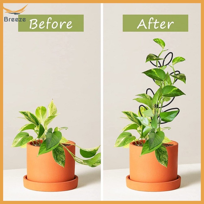 Set 4 Khung Hỗ Trợ Trồng Cây Dây Leo Trong Nhà Hình Chiếc Lá Dễ Thương