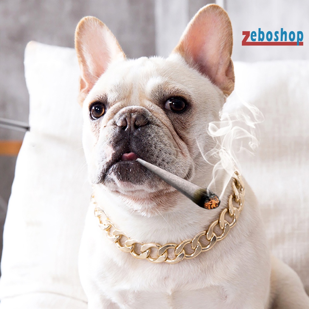 Vòng Cổ Bằng Nhựa Có Thể Điều Chỉnh Dành Cho Chó Pitbull