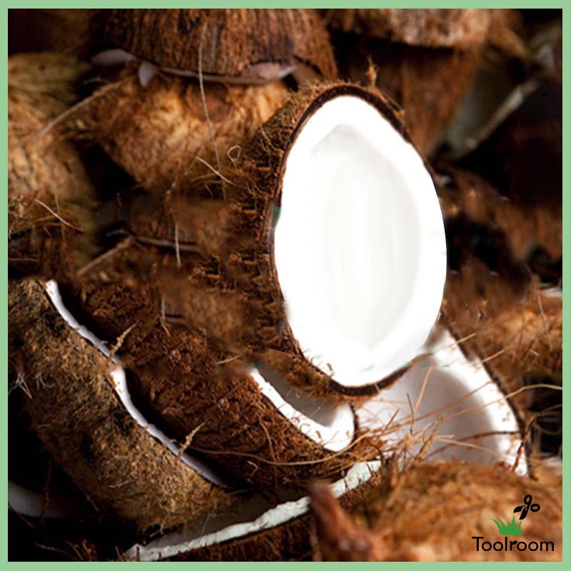 Bộ 5 Đất Xơ Dừa Thấm Hút Tốt Tiện Dụng Cho Sân Vườn