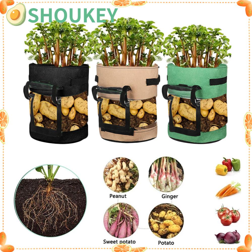 Túi Đựng Khoai Tây Chiên 360 Độ SHOUKEY° Túi Trồng Cây Rau Củ Quả Tiện Lợi