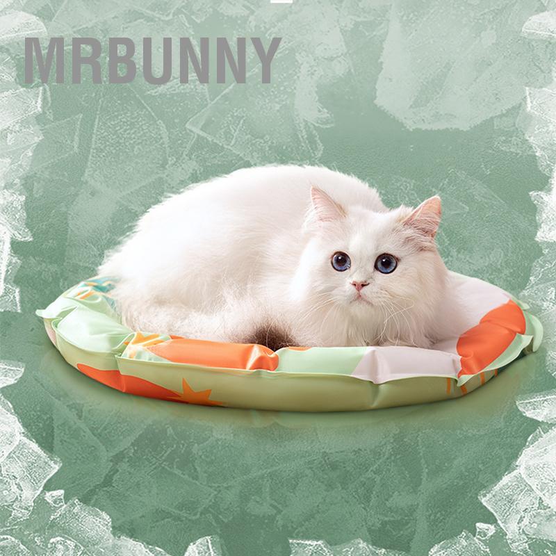 Phổ biến Thảm làm mát cho thú cưng Chống thấm nước rách Dày mềm Vòng chó mèo Ice Pad mùa hè