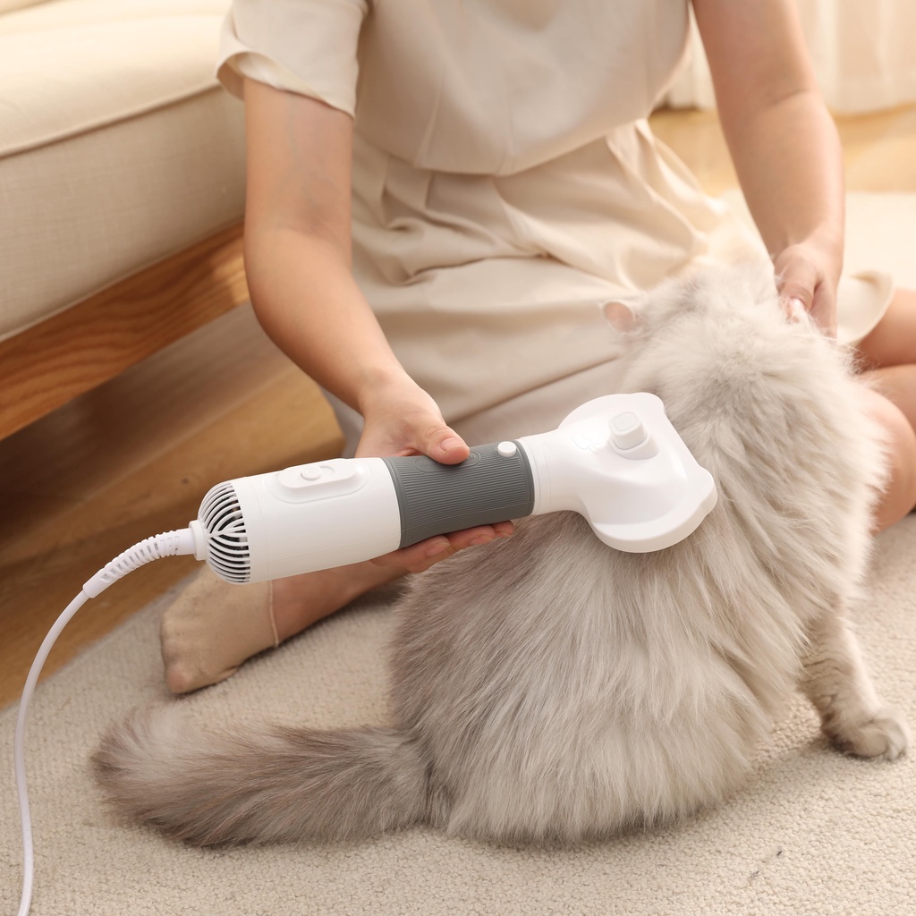 Máy sấy lông thú cưng sấy khô nhanh 3 trong 1, đa năng 600W, công suất gió lớn, máy sấy lông massage có đầu chải, có 2 đầu tóc, giao hàng nhanh tận nơi