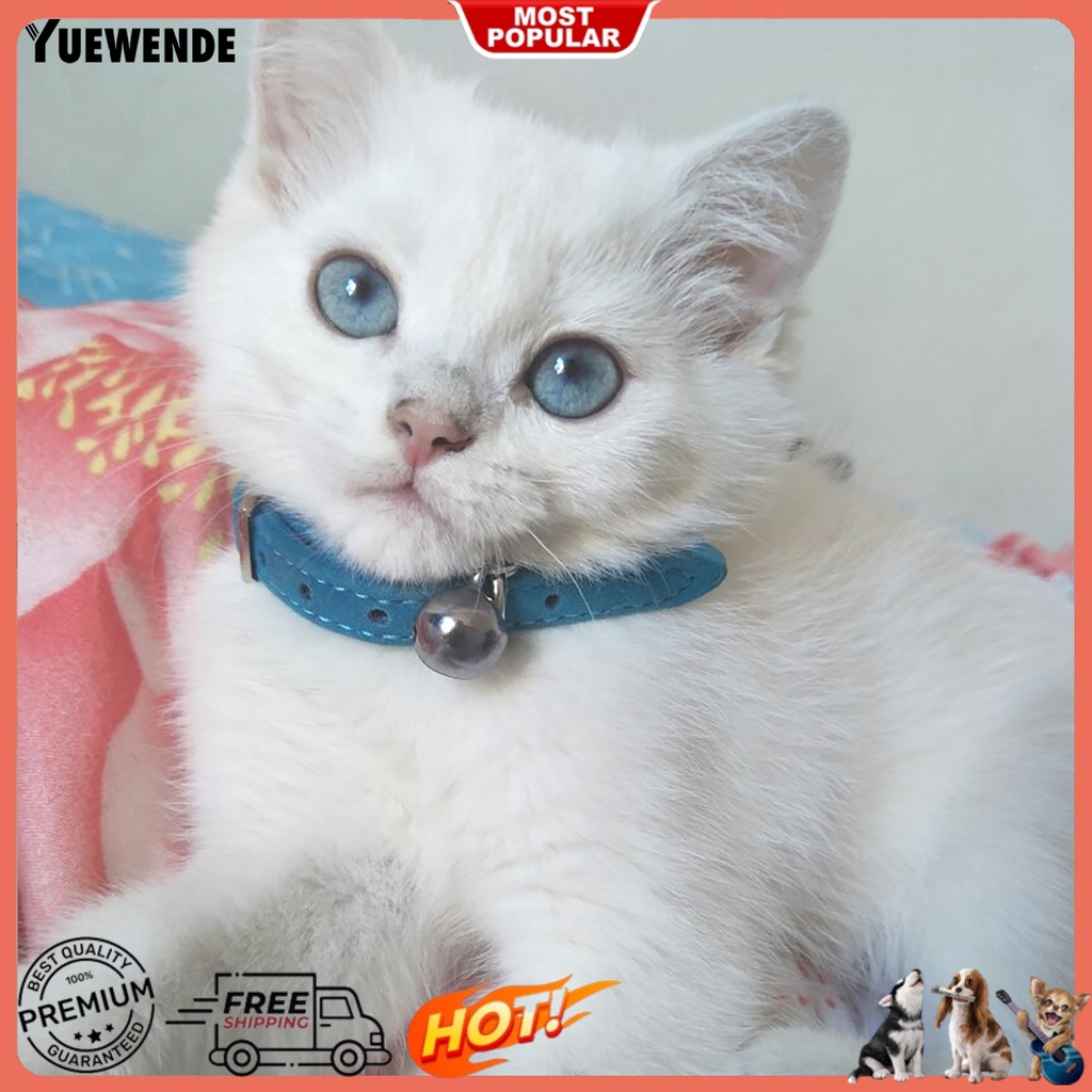 Vòng Cổ Nhiều Màu Sắc Thân Thiện Với Da Cho Thú Cưng