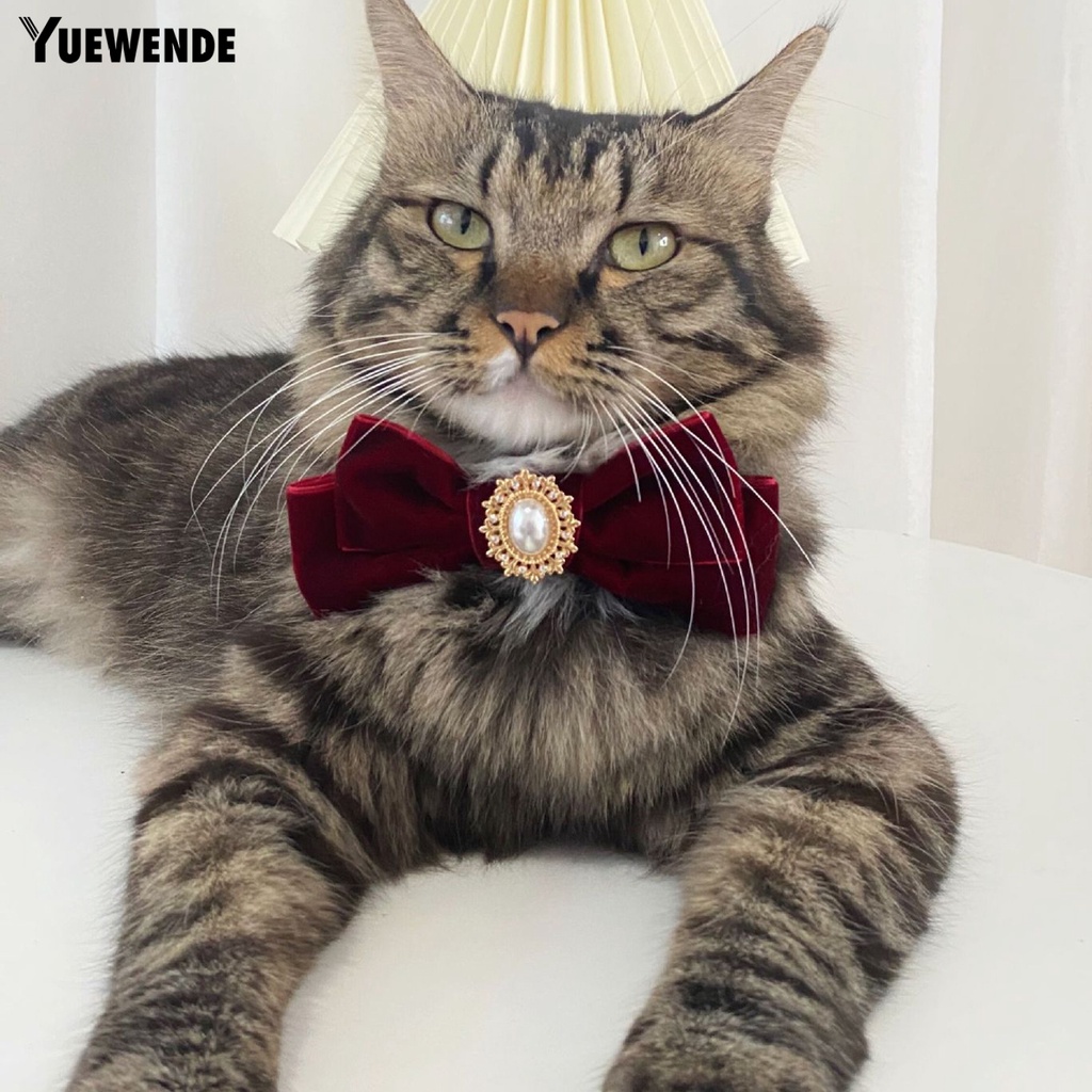 Vòng Cổ Ngọc Trai Giả Chống Sặc Đính Nơ Dễ Thương Cho Thú Cưng