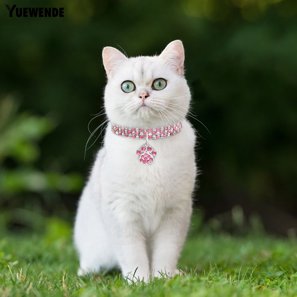 Vòng Cổ Đính Đá Bắt Mắt Thú Cưng YQ.E