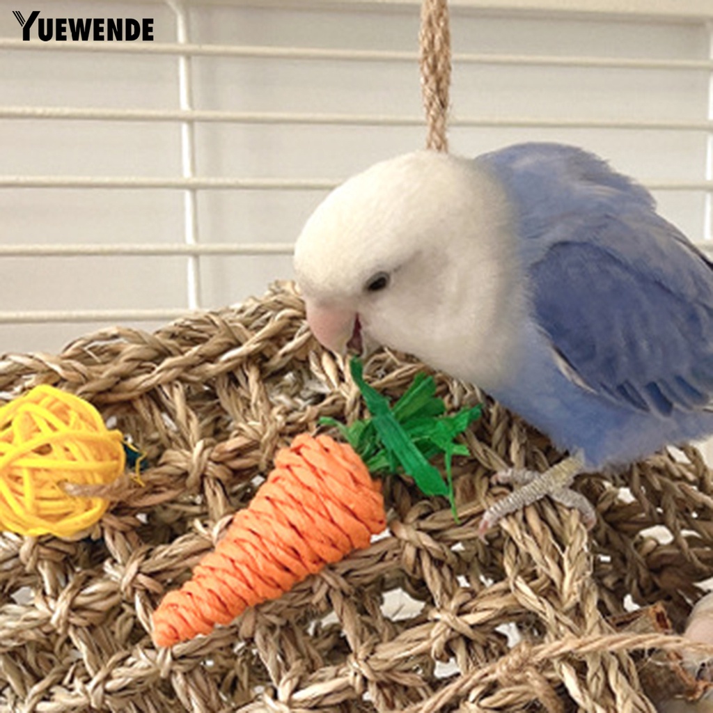 Đường Hầm Đồ Chơi Chống Trầy Xước Chống Cắn Dễ Tháo Rời Cho Vẹt