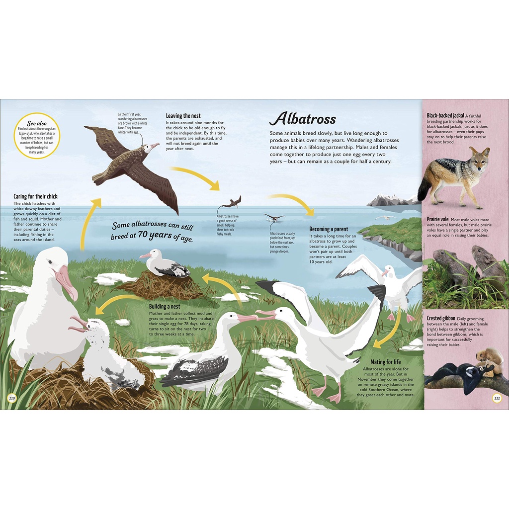 Life Cycles: Everything From Start To Finish