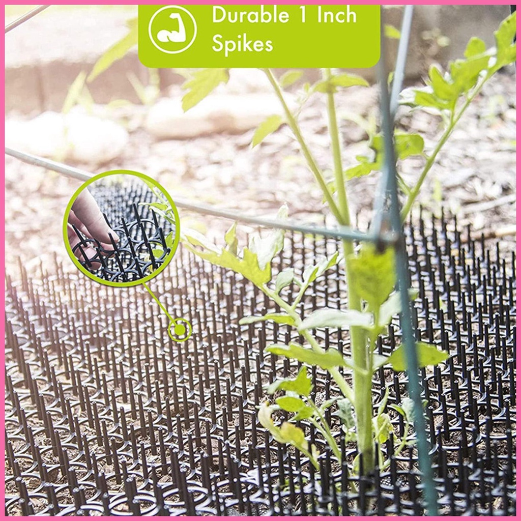 Set 12 Thảm Gai Chống Kẹt Cho Mèo