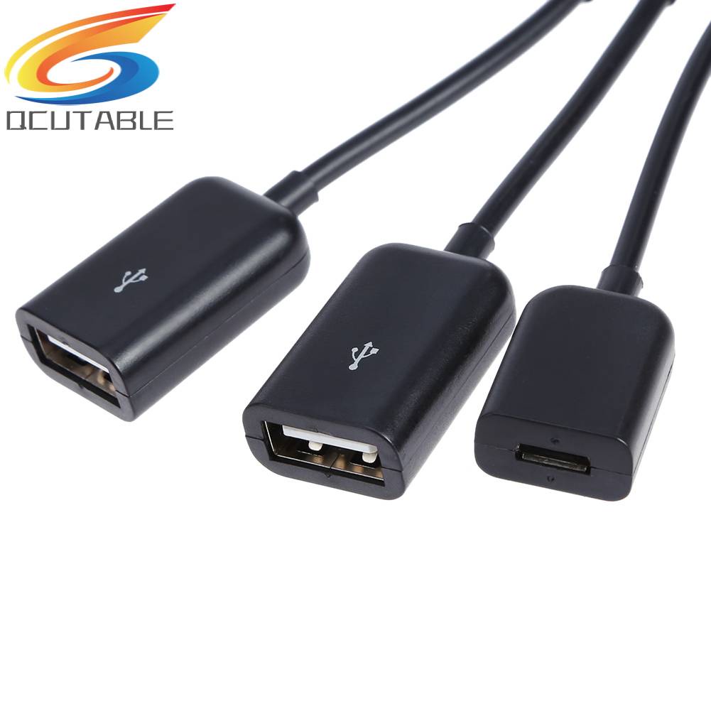 Bộ 2 Dây Cáp OTG Nối Dài Chuyển Đổi Cổng USB-A / F + Micro USB Sang Cổng USB 3.1 Type-C