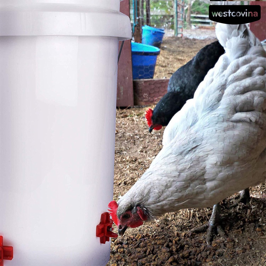 [COD]♞Set 10 Núm Uống Nước Tự Động Cho Gà