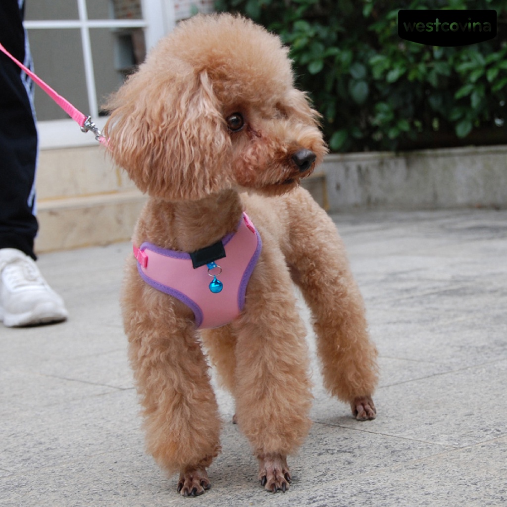 [COD]♞Dây Dắt Thú Cưng Đi Dạo Thiết Kế Thoáng Khí Tiện Dụng