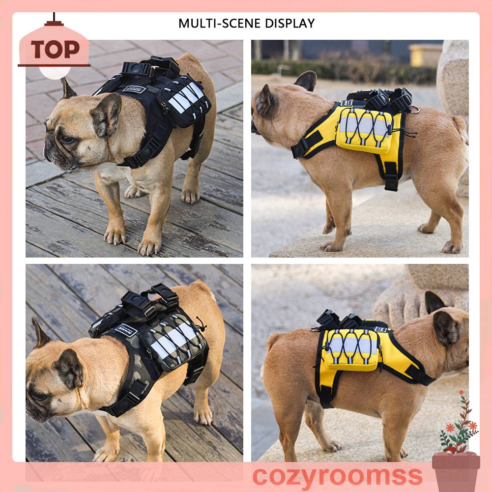 Ba Lô Đựng Thú Cưng Đi Bộ / Leo Núi Kèm Dây Đeo Tùy Chỉnh Tiện Dụng Cho