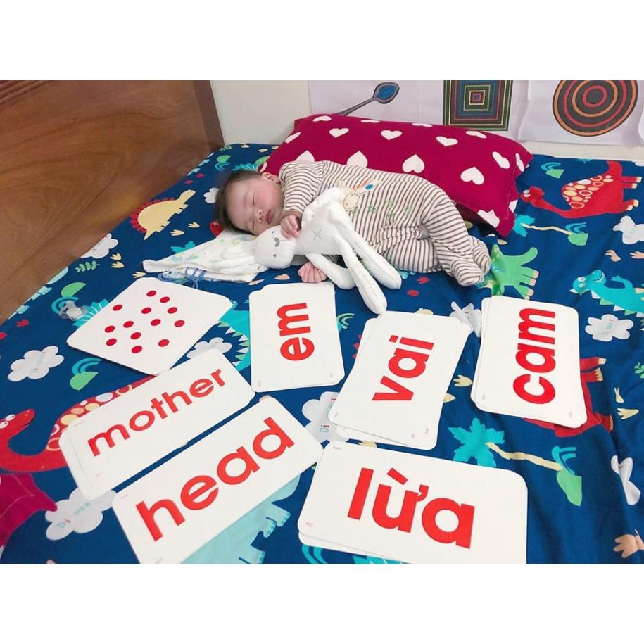 Flashcard Glenn Doman Bộ Chuyên Sâu GDKIDS - Dạy Trẻ Học Đọc Tiếng Việt 300 thẻ