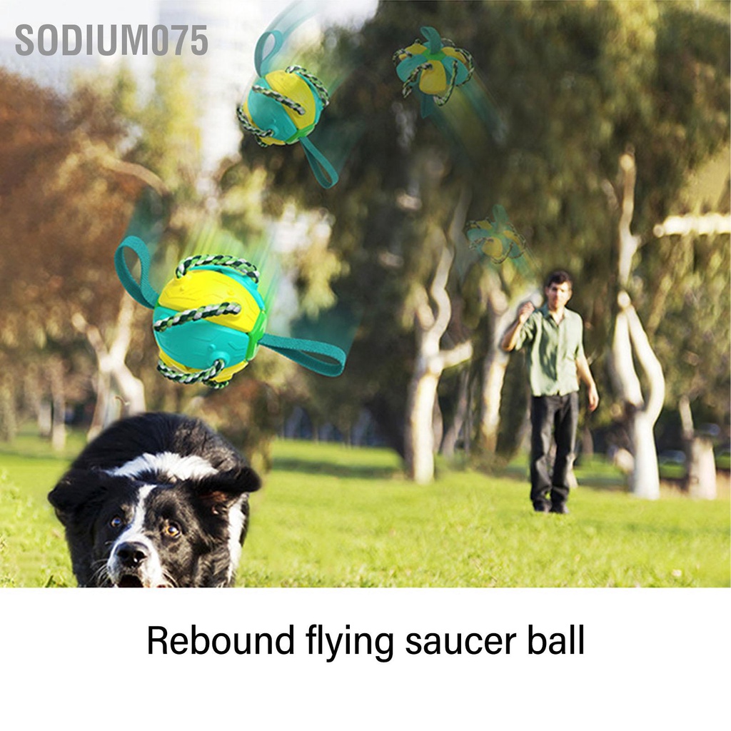 Sodium075 Bóng bay ngoài trời tương tác Quả bóng thú vị Đồ chơi đá cho chó có dây đai