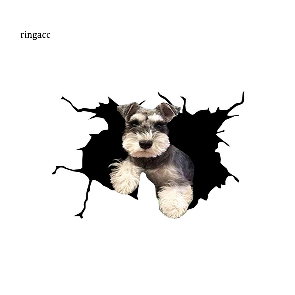 Nhãn Dán Trang Trí Xe Hơi Họa Tiết Vết Nứt 3D Dễ Thương Bắt Mắt