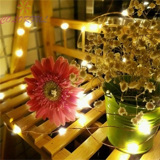 USB/LED Mini Rice Wire Copper String Fairy Lights Party Decor Christmas Gift