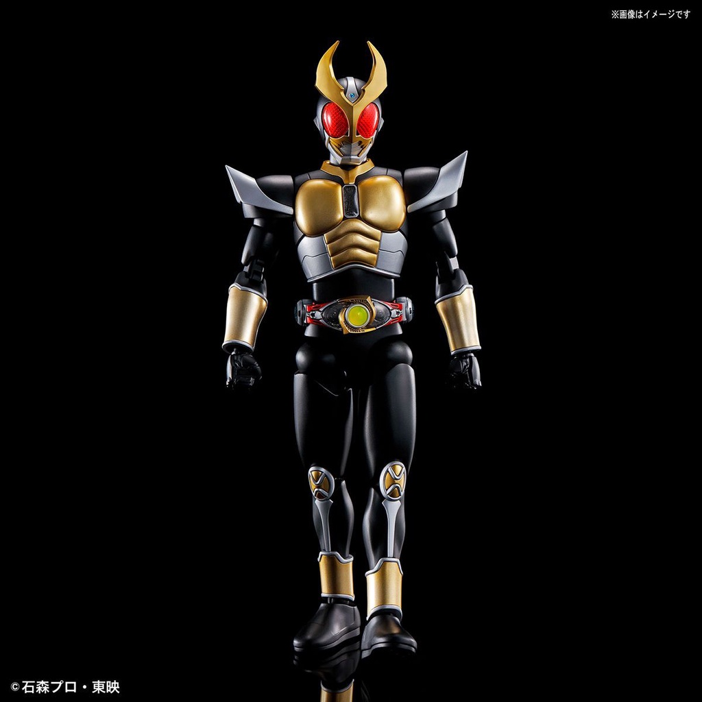 Mô Hình Lắp Ráp Nhân Vật Bandai FRS Kamen Rider AGITO AGITO Earth