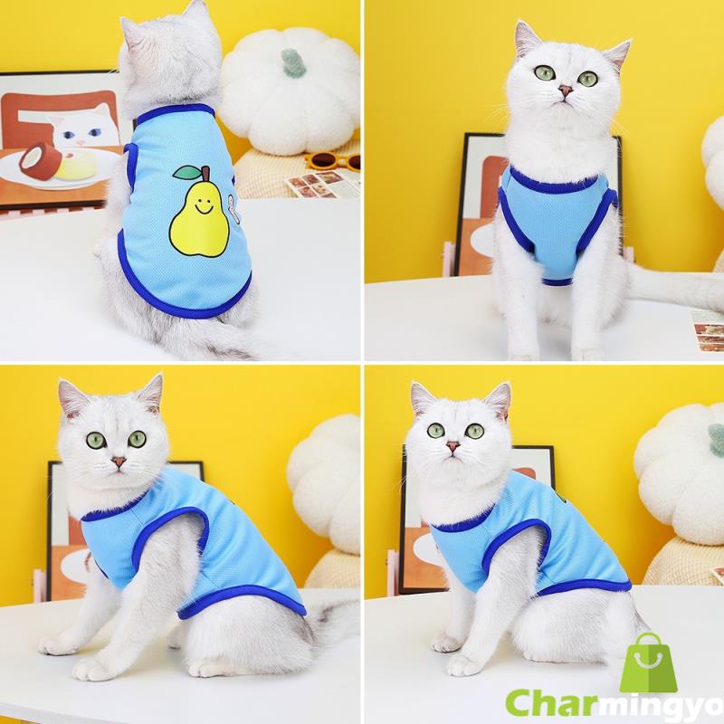 Áo Chống Nắng In Họa Tiết Trái Cây Hoạt Hình Dành Cho Thú Cưng