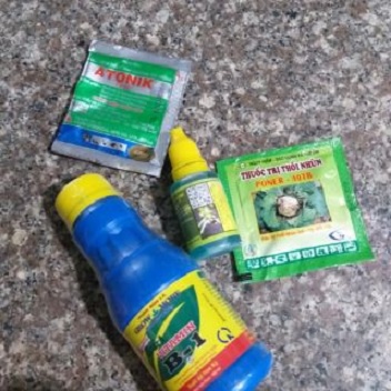 COMBO 4 CHẾ PHẨM CHĂM SÓC HOA LAN ( VIÊN THỐI NHŨN - ANTONIK - HÙNG NGUYỄN - B1 )