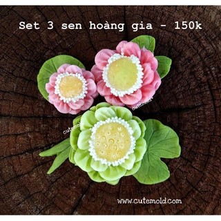 Khuôn Silicon Hoa Sen Set Sen Hoàng Cung