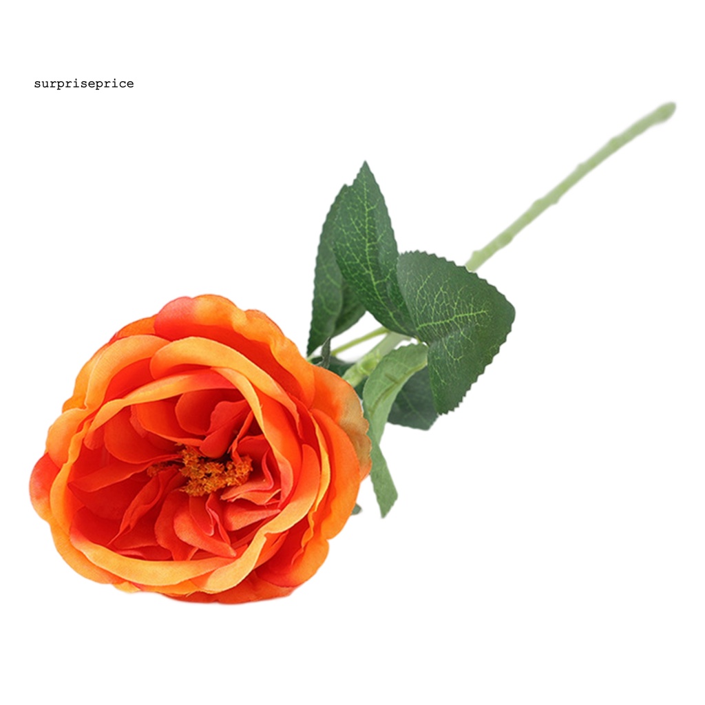 Hoa Hồng Nhân Tạo Màu Trong Suốt Lâu Trôi Dùng Làm Đạo Cụ Chụp Ảnh