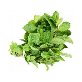 Hạt Giống Rau Húng Bạc Hà (Húng Lũi) gói (0.1gr)