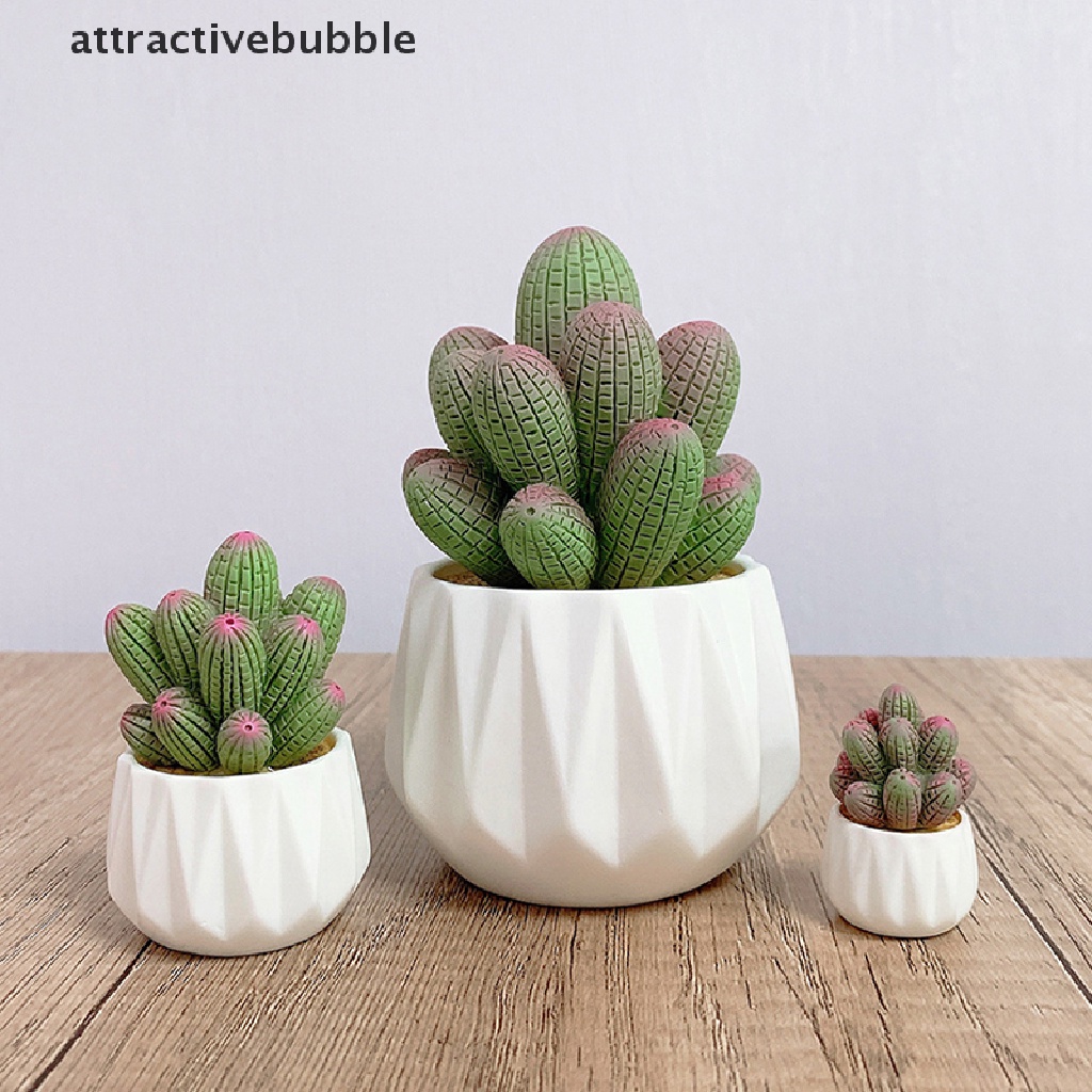 Set 1 / 4 Đồ trang trí Cây Xương Rồng Mini Trang Trí Tiểu Cảnh