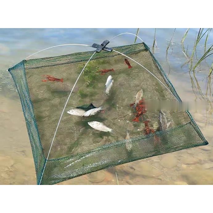Vó Bắt Tôm, Cua, Cá, Tép - Đồ Câu Simano